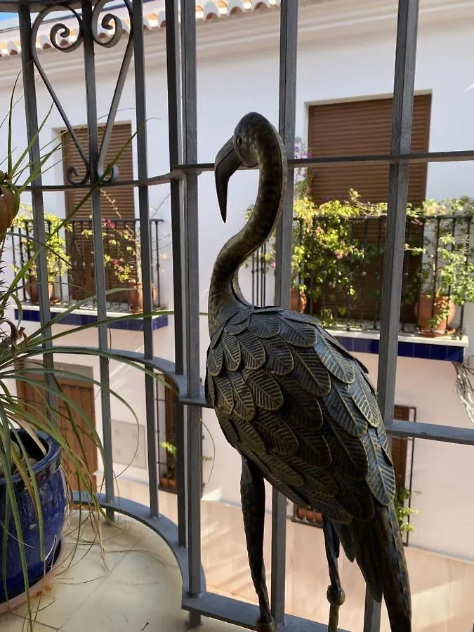 Club Costa Nerja Apartment